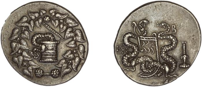 reverse Ephesus Kleiner and Noe 1977 36