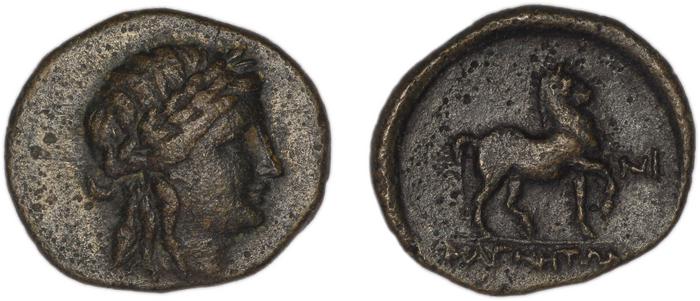 реверс Magnesia ad Maeandrum BMC Magnesia 41
