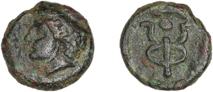 Phocaea BMC Phocaea 98, реверс, bm