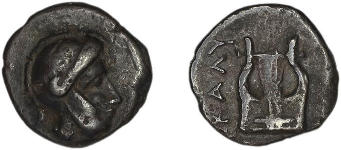 реверс Calymna Hoghammar 2010 Type C