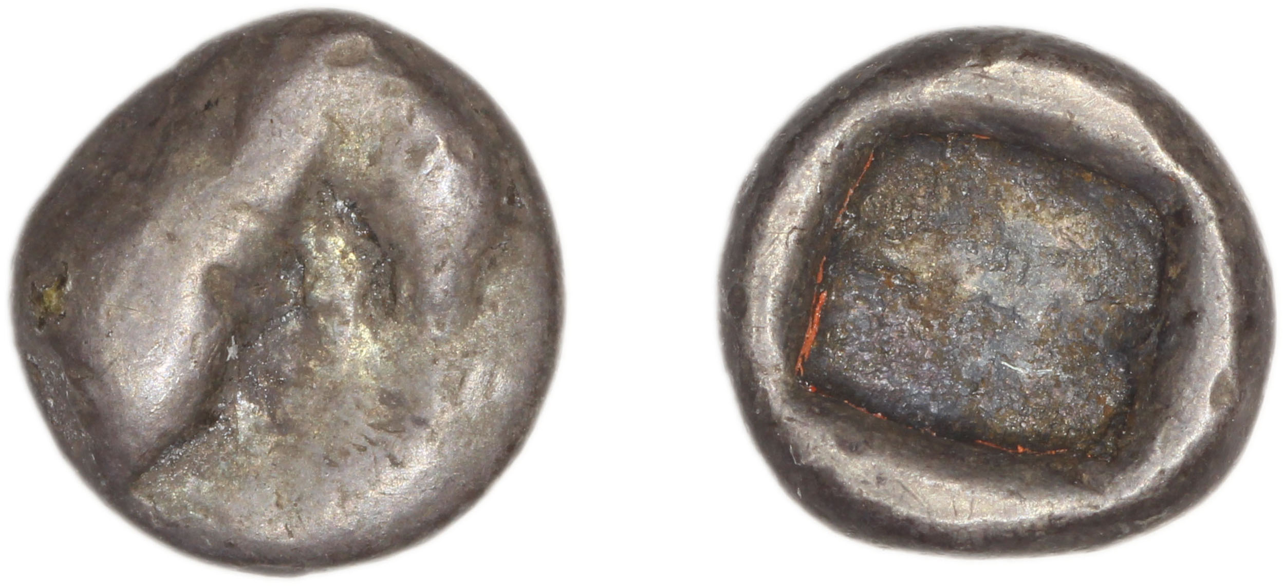 Phocaea Babelon 1907 523-9, аверс, bm