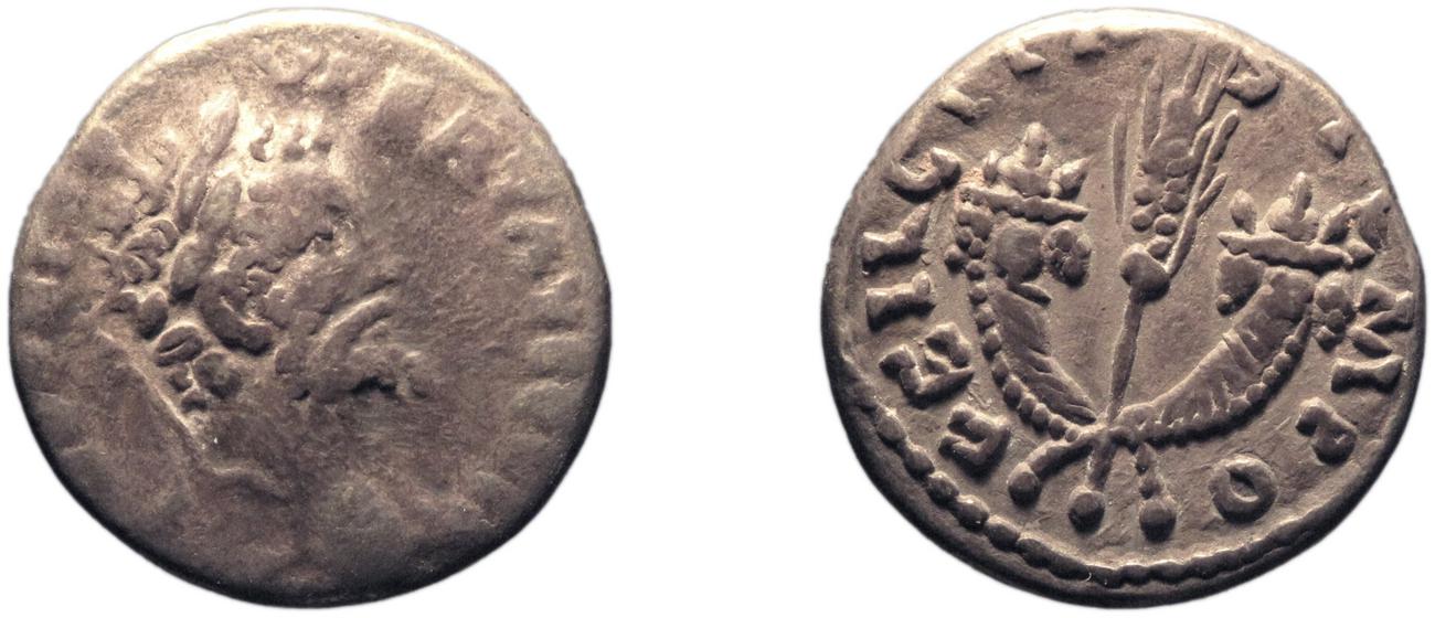 аверс RIC IV Septimius Severus 374