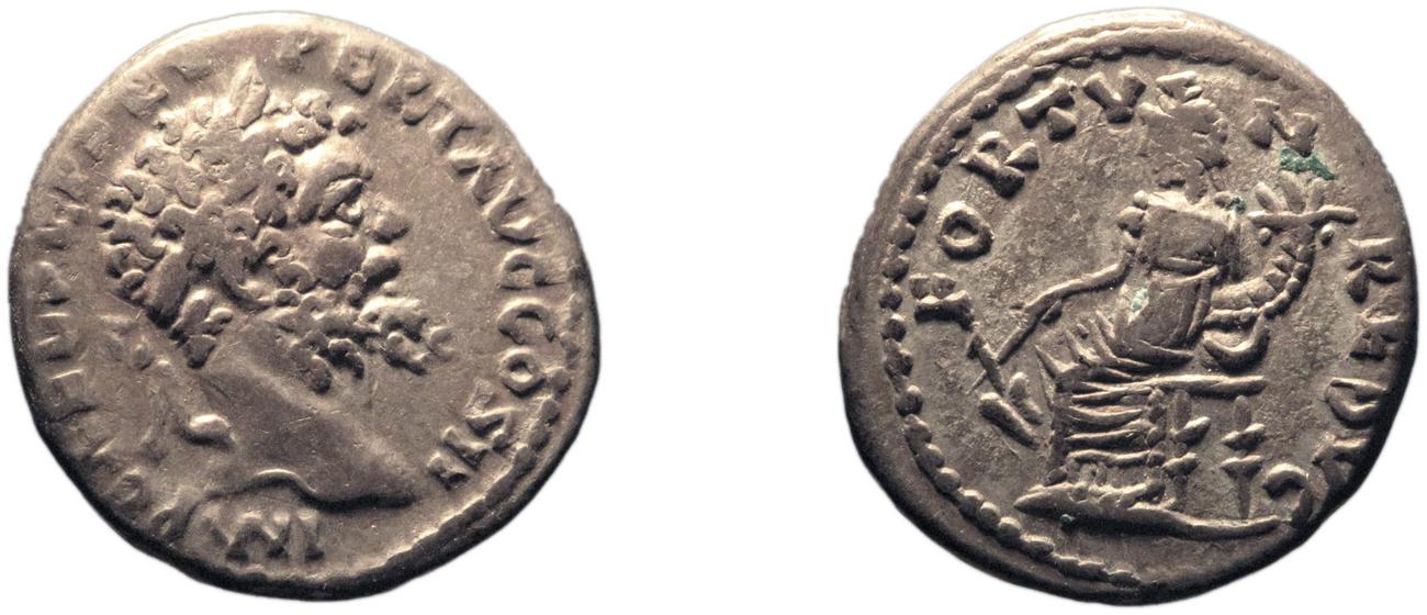 RIC IV Septimius Severus 379, аверс, bm
