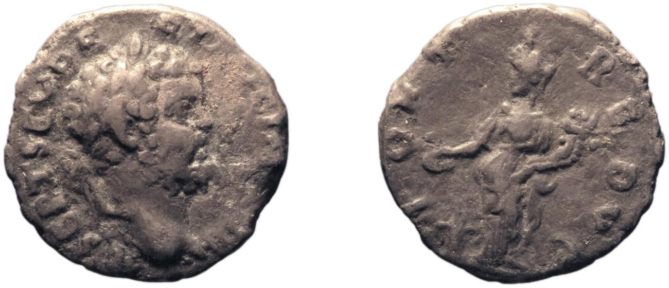 аверс RIC IV Septimius Severus 479B