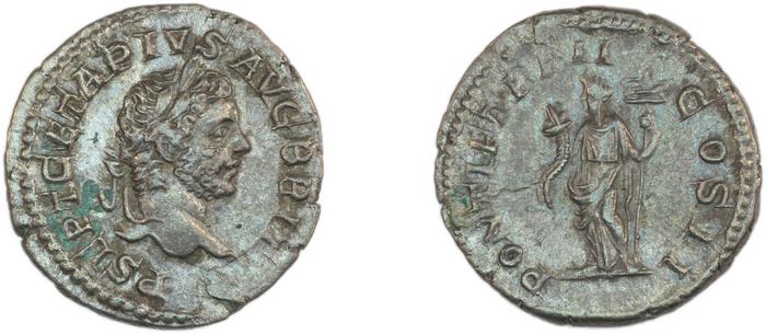 RIC IV Geta 69B, реверс, bm