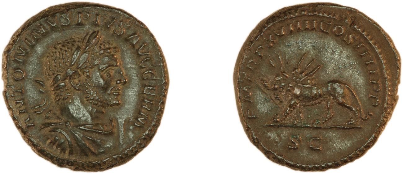 аверс RIC IV Caracalla 564B