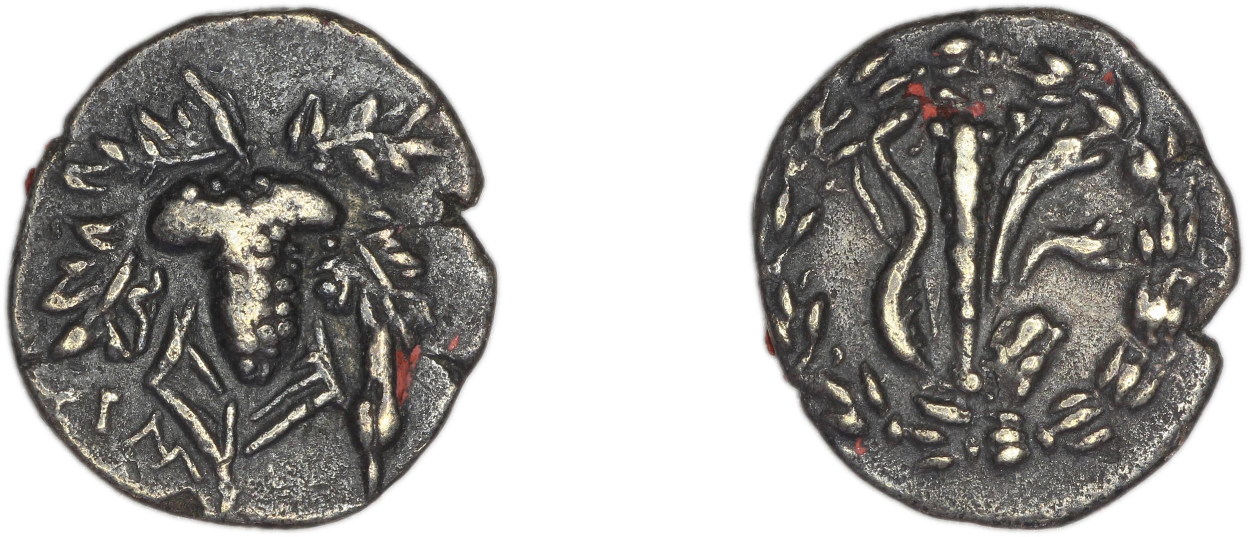 аверс Tralles Kleiner and Noe 1977 12, drachms
