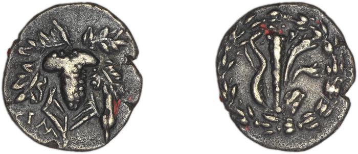 реверс Tralles Kleiner and Noe 1977 12, drachms