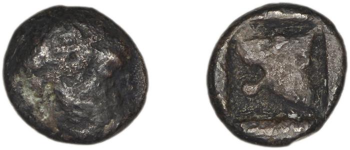 coin rev