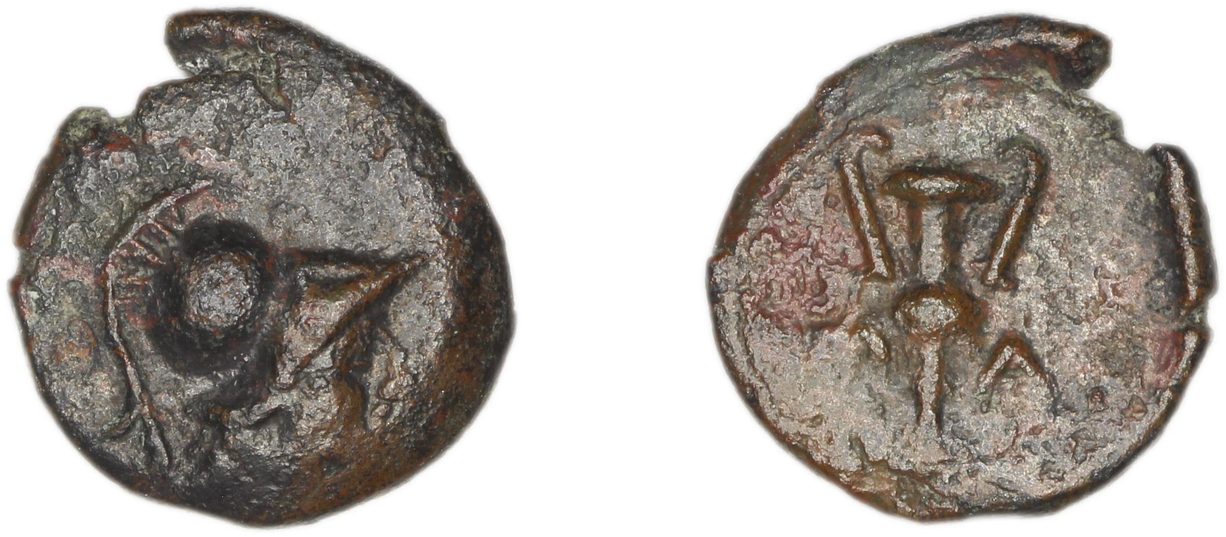 Methymna Franke 1975 26, аверс, bm
