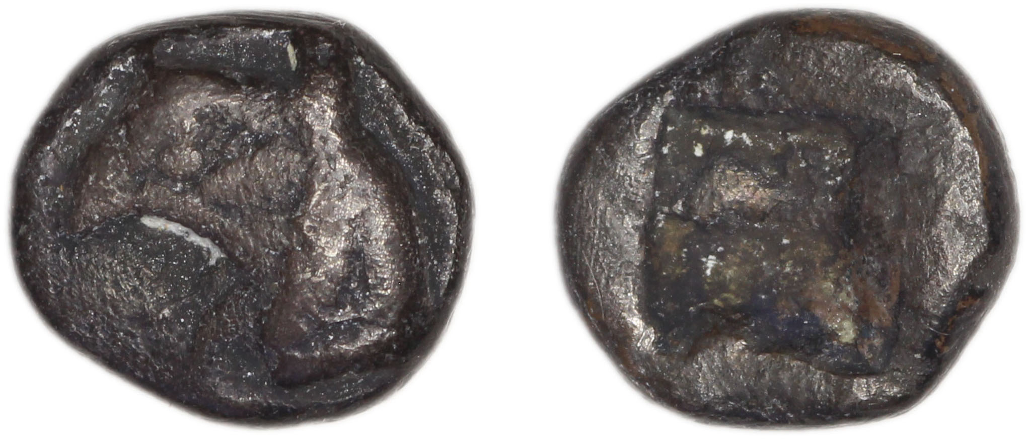 Phocaea Babelon 1907 523-9, аверс, bm