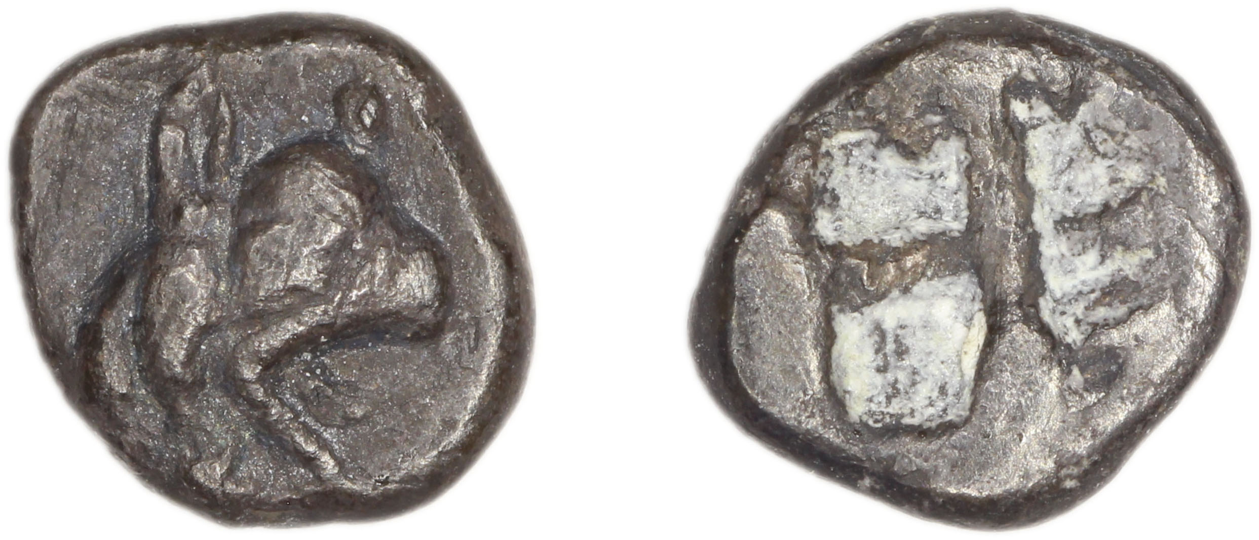 Phocaea Babelon 1907 523-9, аверс, bm