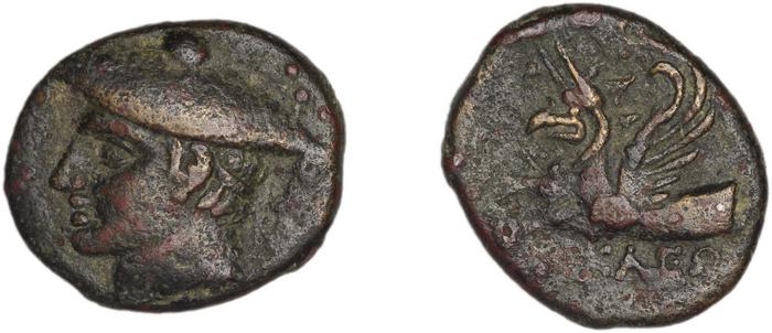 реверс Phocaea BMC Phocaea 101-2