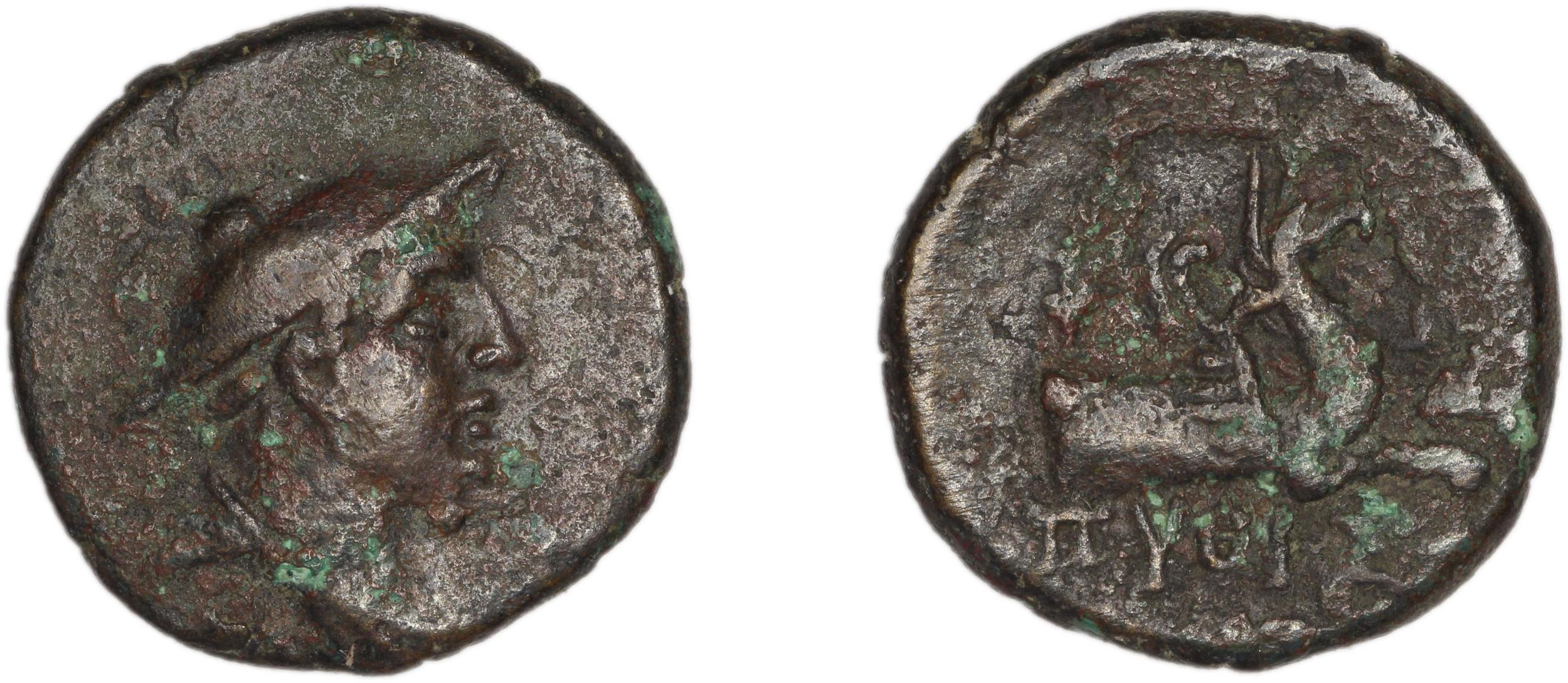 Phocaea BMC Phocaea 103-8, аверс, bm