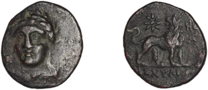 coin rev