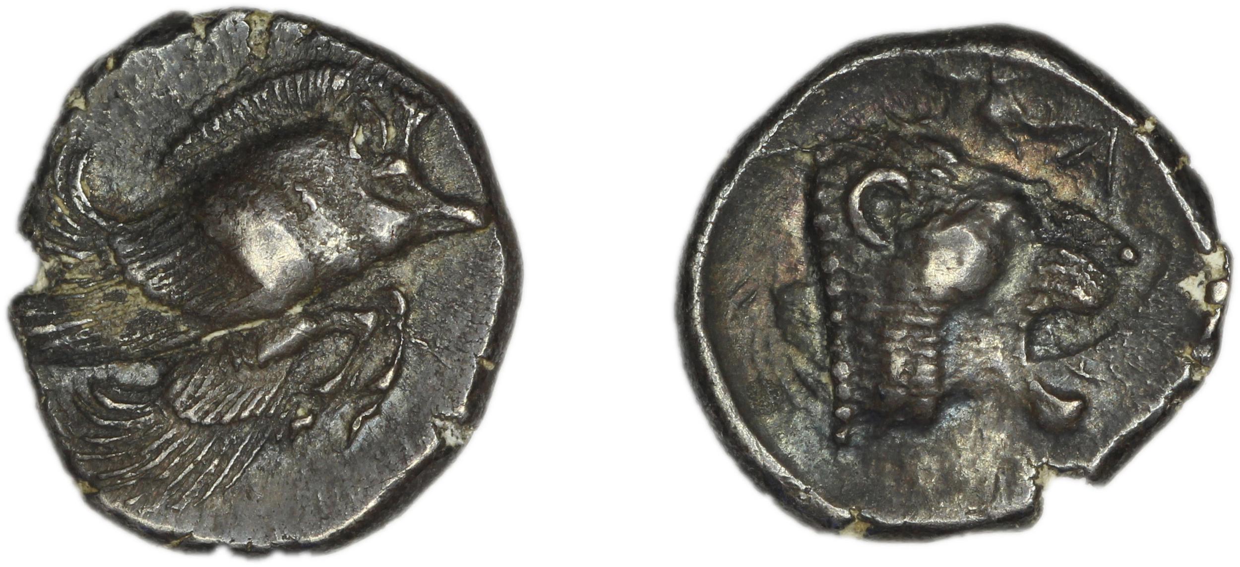 coin obv