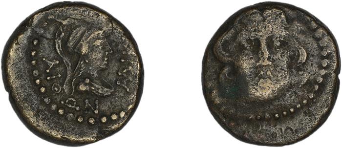 реверс Halicarnassus BMC Halicarnassus 54-57