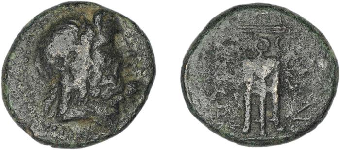 реверс Halicarnassus BMC Halicarnassus 14-17