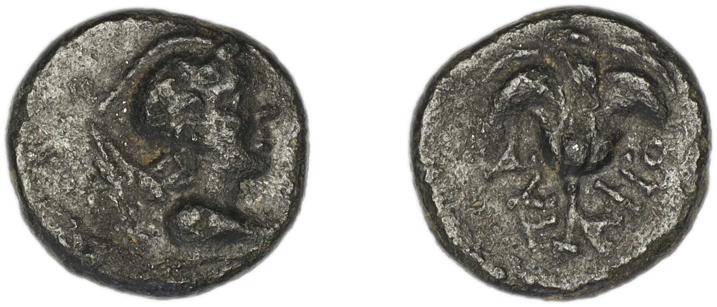 аверс Aphrodisias, Caria MacDonald 1992 36