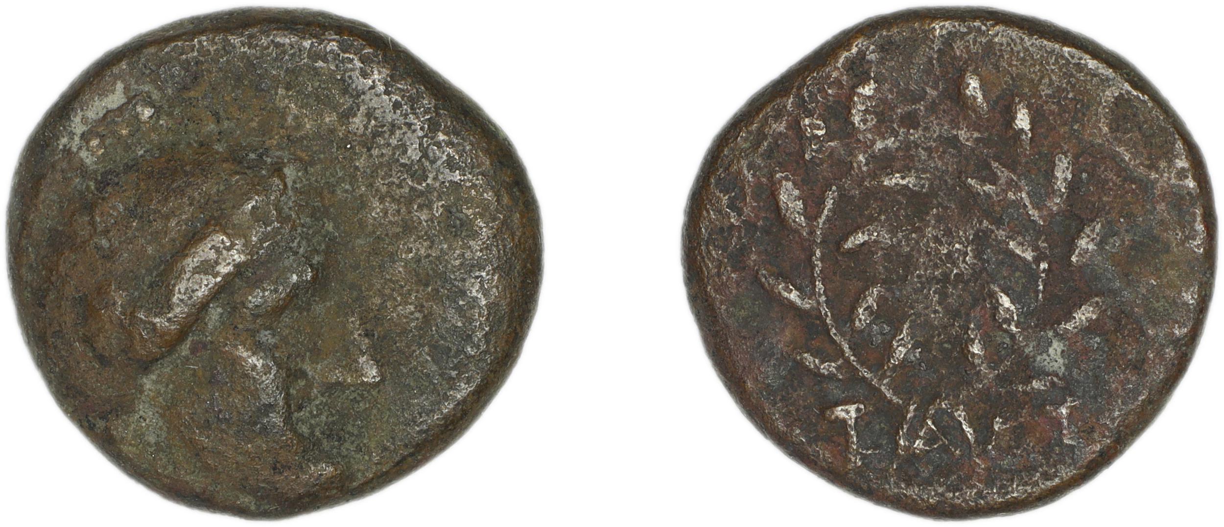 Calymna BMC Calymna 30-36, аверс, bm