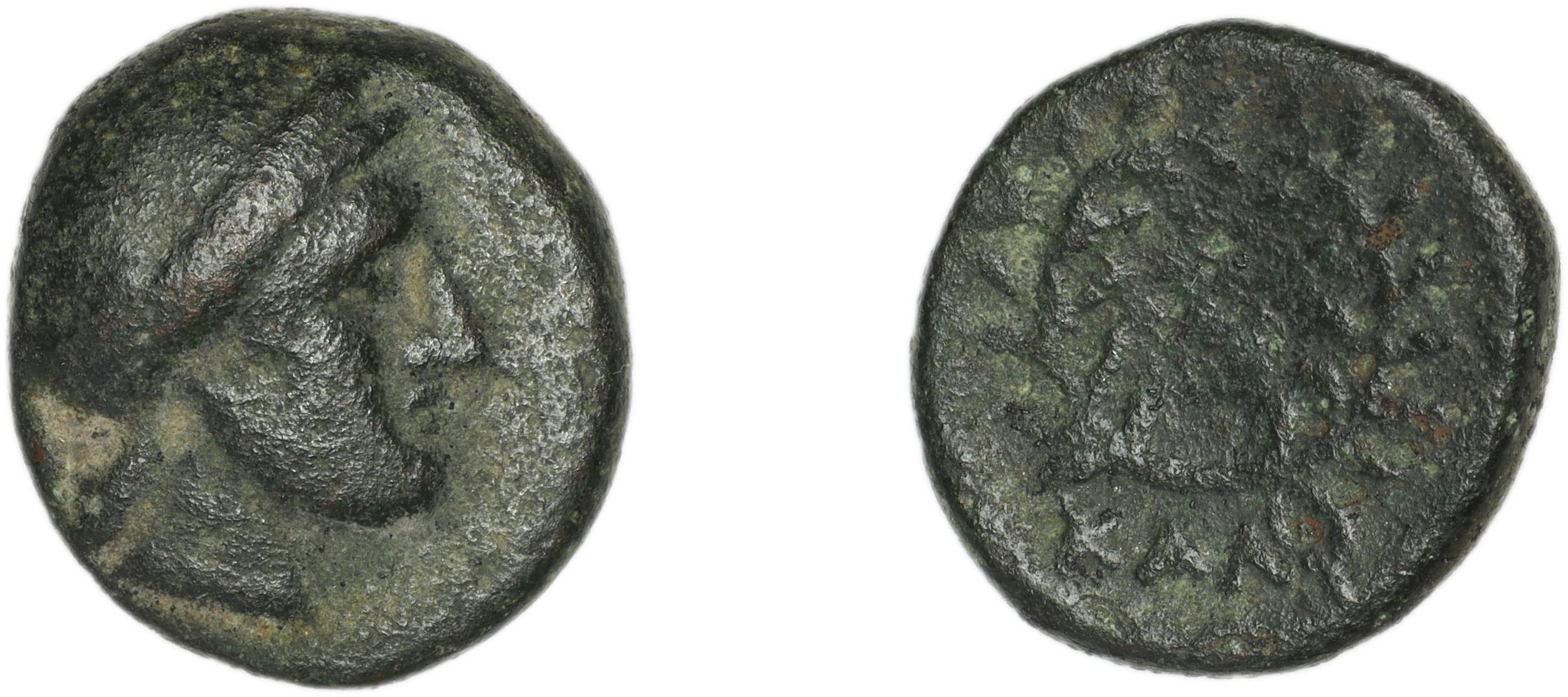 Calymna BMC Calymna 30-36, аверс, bm