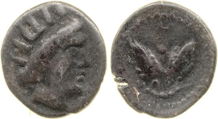 реверс Rhodes Ashton 2001 232-3