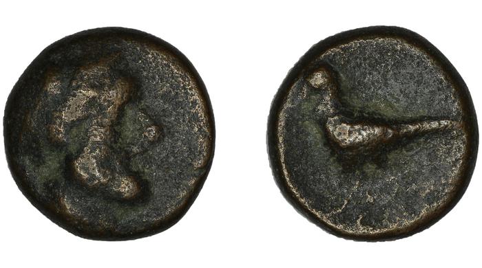 реверс Sagalassus BMC Sagalassus 6