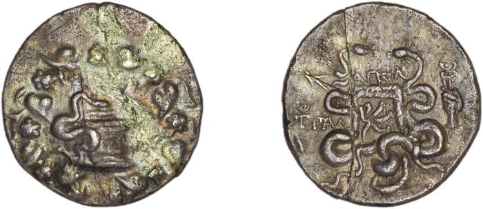 реверс Tralles Carbone 2020 XXIX, tetradrachms