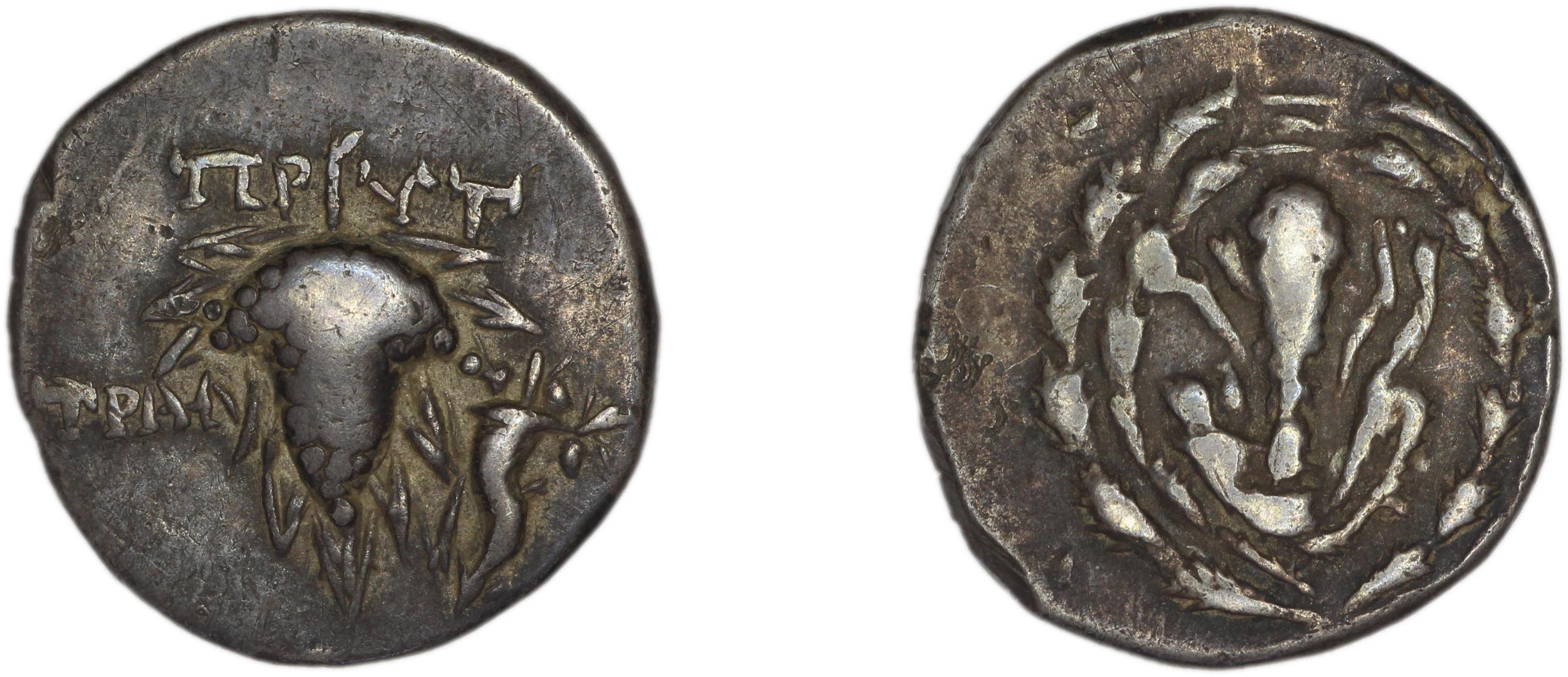 аверс Tralles Carbone 2020 XIV, didrachms