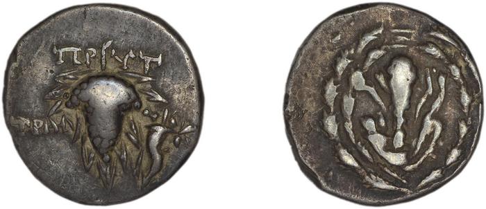 реверс Tralles Carbone 2020 XIV, didrachms