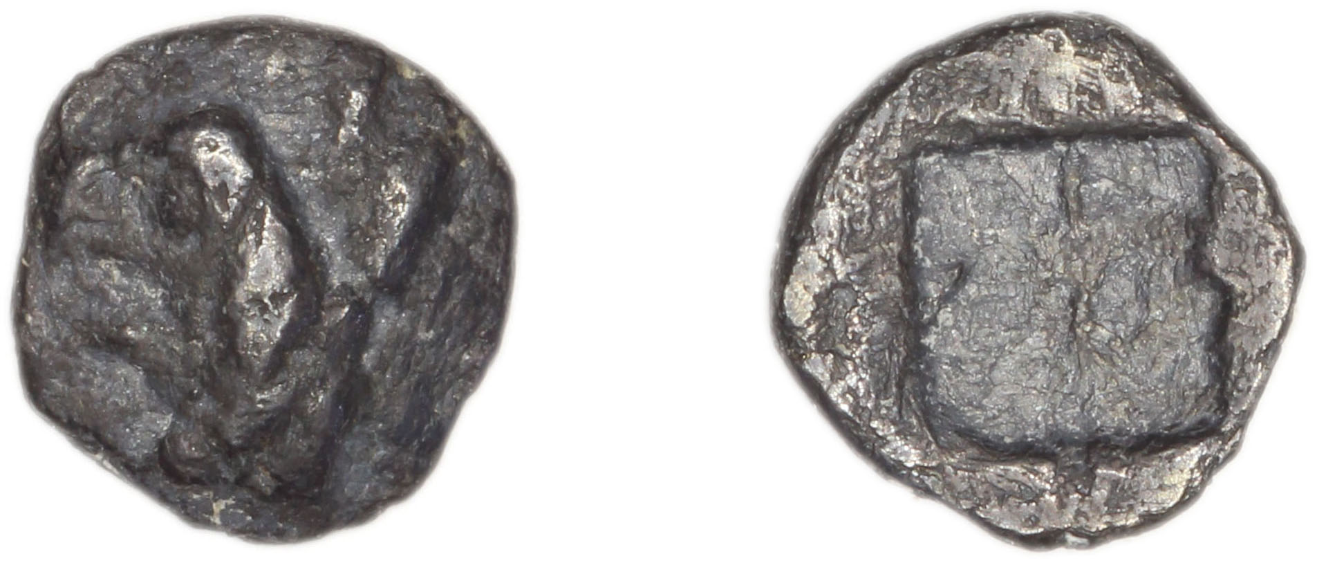 Phocaea Babelon 1907 523-9, аверс, bm