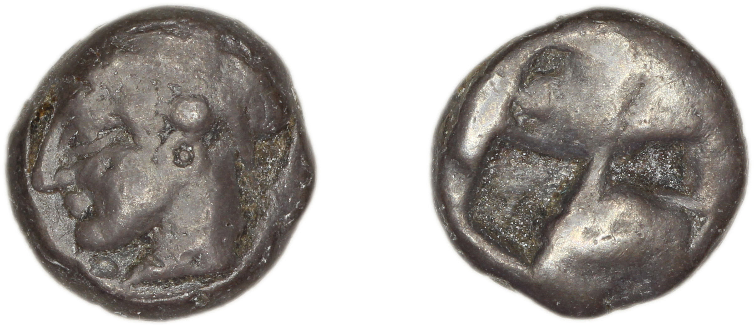 Phocaea Babelon 1907 532, аверс, bm