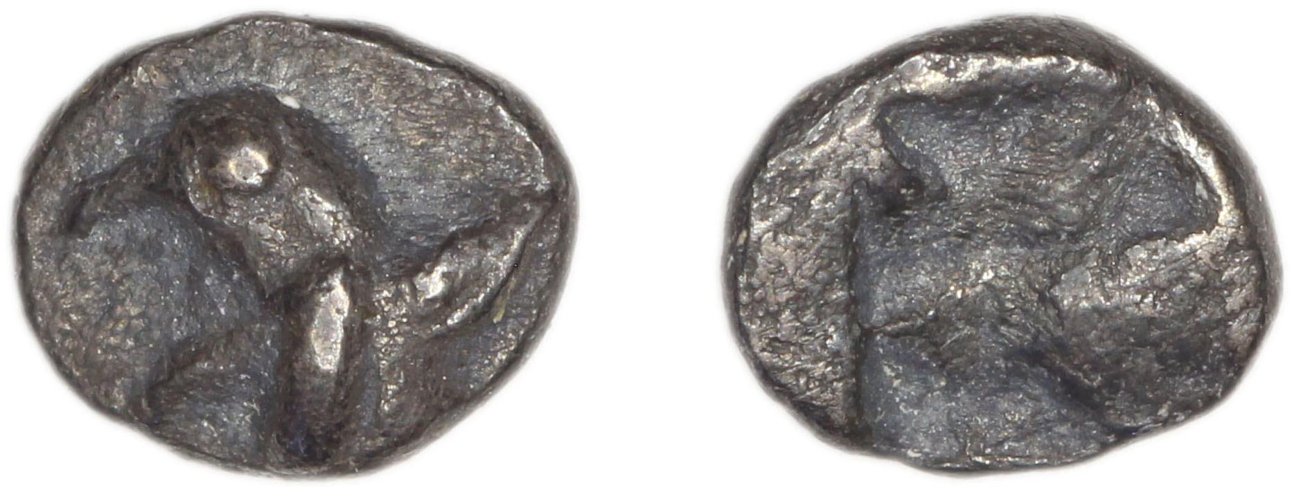 Phocaea Babelon 1907 523-9, аверс, bm