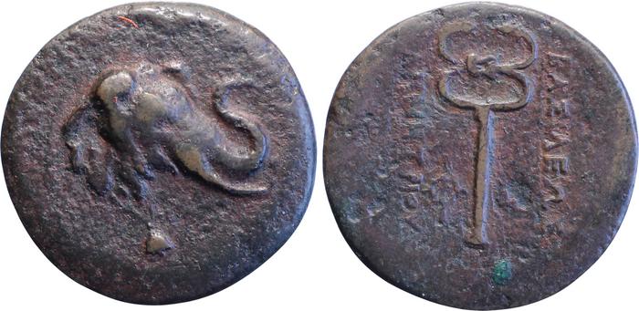 Bactrian and Indo-Greek Coinage Demetrius I 8.1, bm