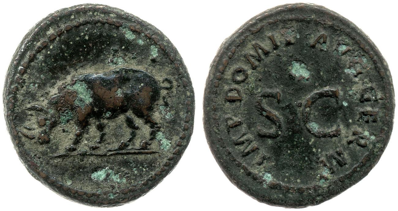 RIC II, Part 1 (second edition) Domitian 250, аверс, bm