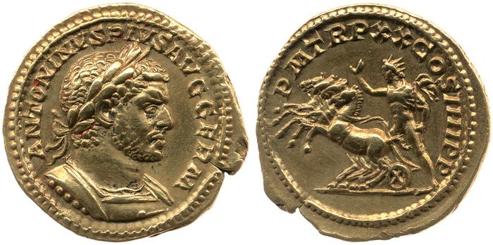 реверс RIC IV Caracalla 294B
