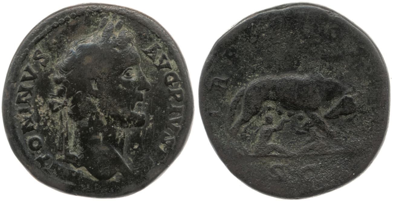 RIC III Antoninus Pius 648, аверс, bm