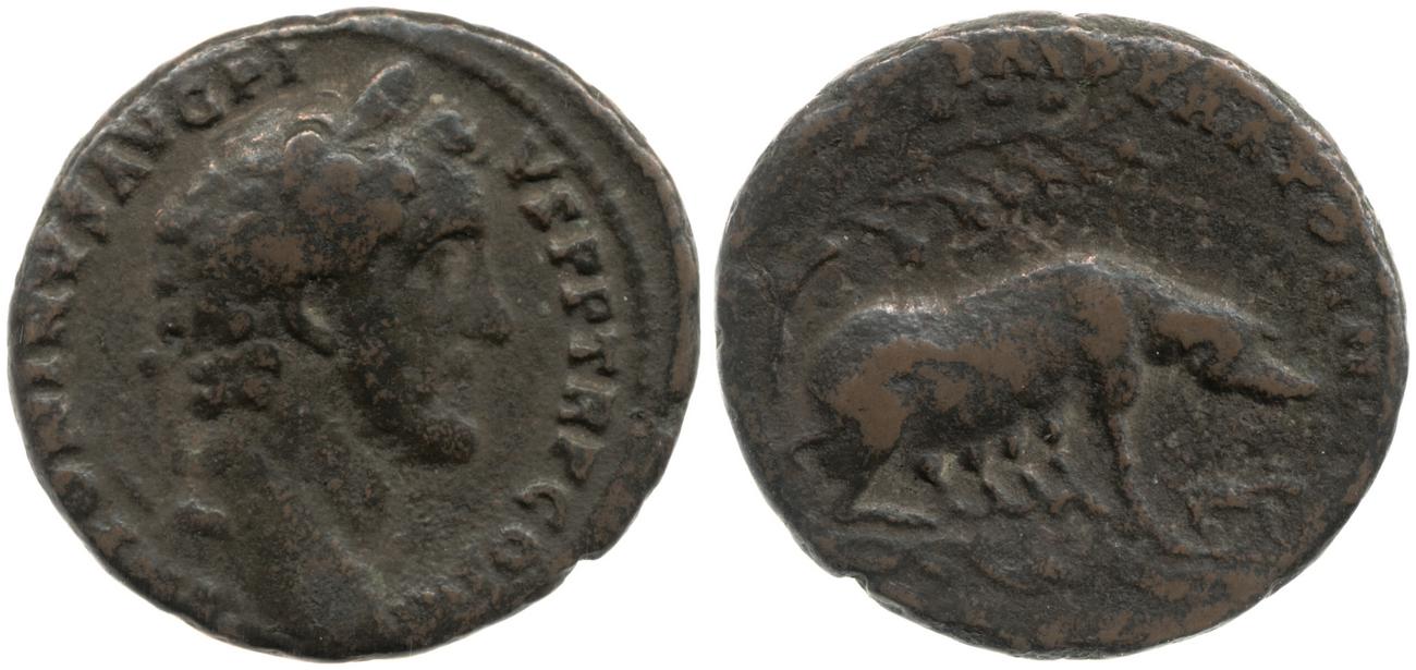 RIC III Antoninus Pius 733, аверс, bm