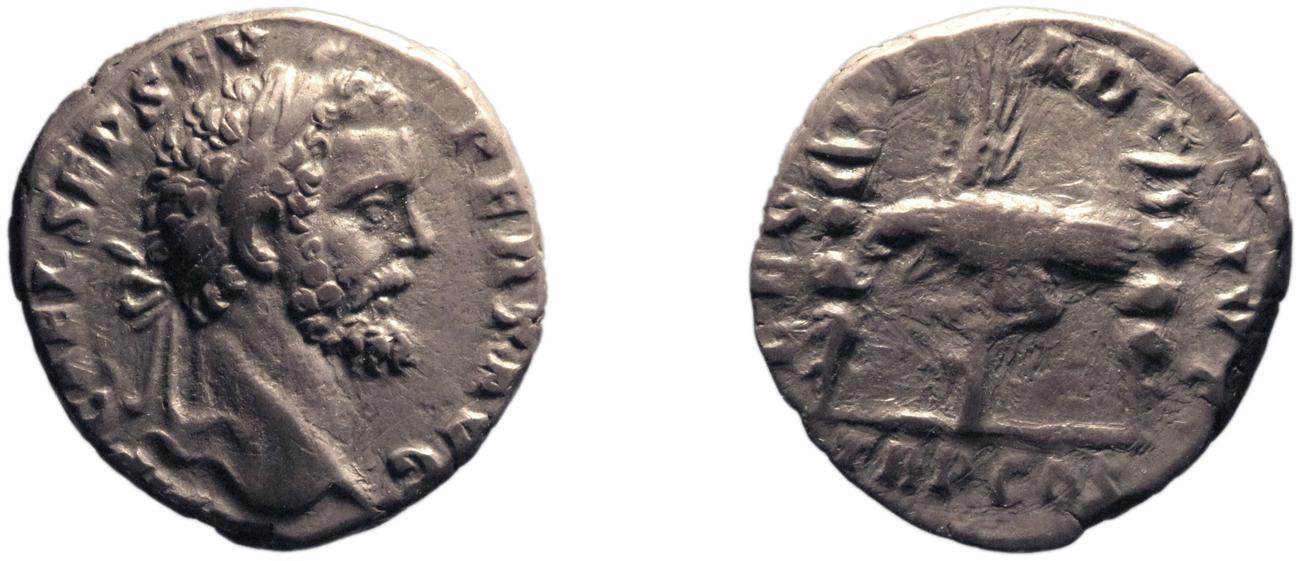 аверс RIC IV Septimius Severus 2