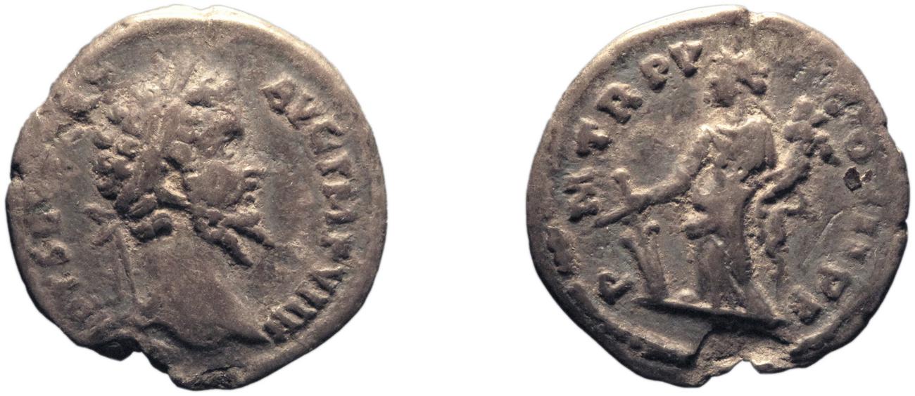 аверс RIC IV Septimius Severus 493