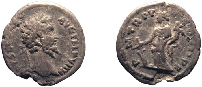 реверс RIC IV Septimius Severus 493