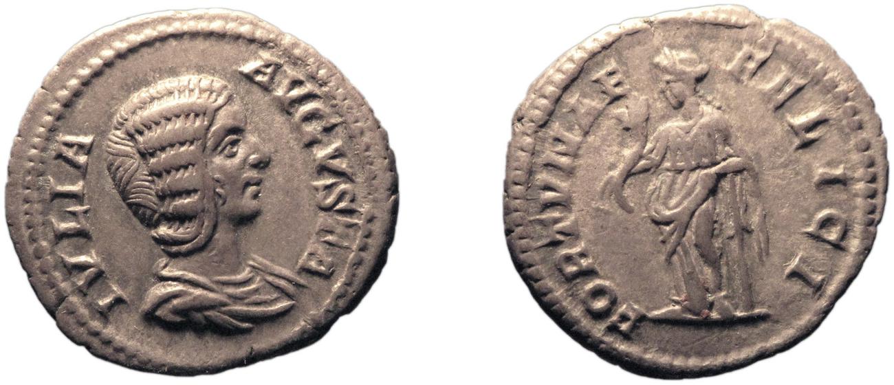 RIC IV Septimius Severus 552, аверс, bm