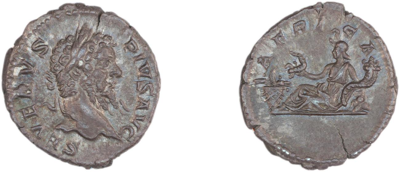 RIC IV Septimius Severus 254, аверс, bm