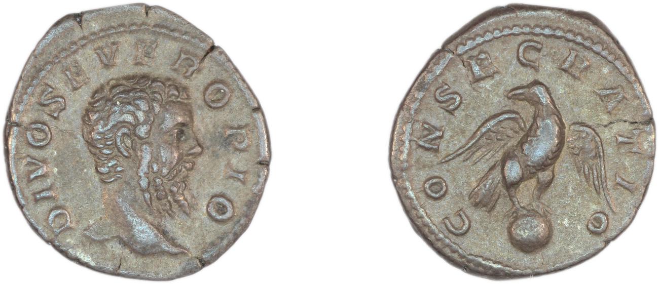 аверс RIC IV Caracalla 191C