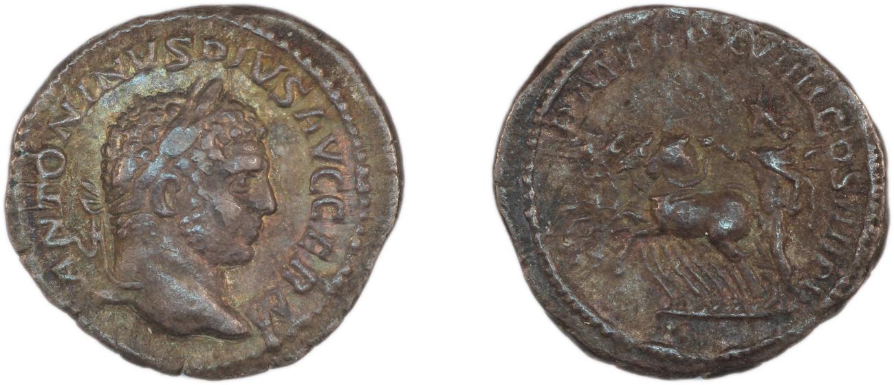аверс RIC IV Caracalla 282F