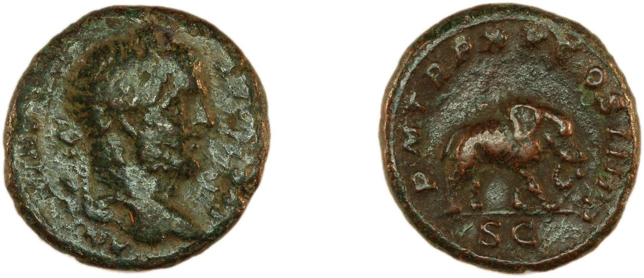 RIC IV Caracalla 495, аверс, bm