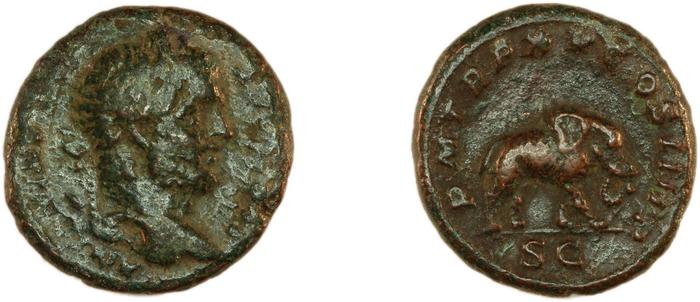 RIC IV Caracalla 495, реверс, bm