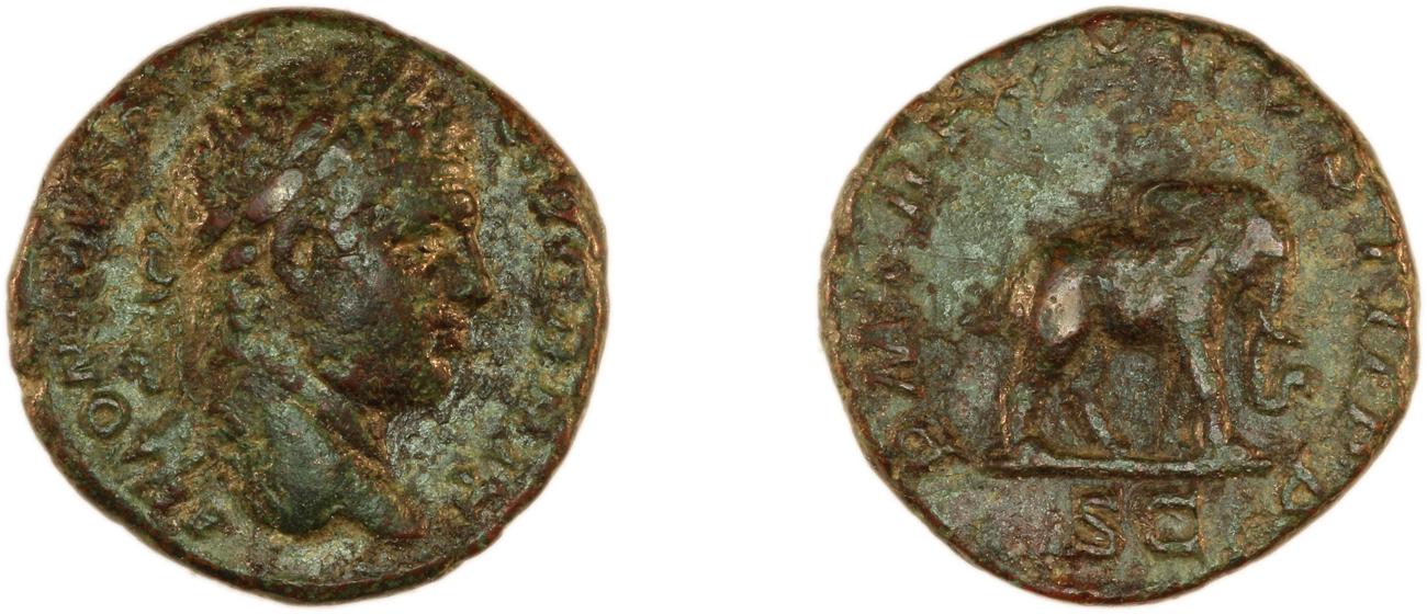 RIC IV Caracalla 495, аверс, bm