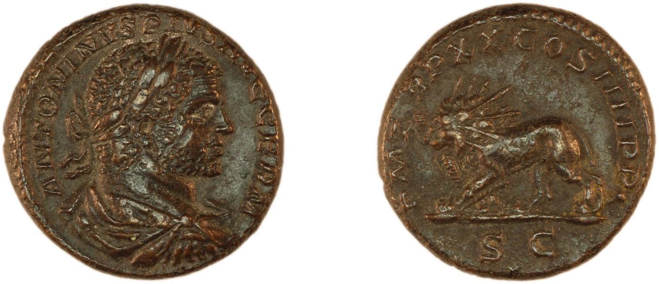 аверс RIC IV Caracalla 571B