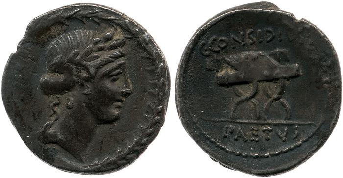 coin rev